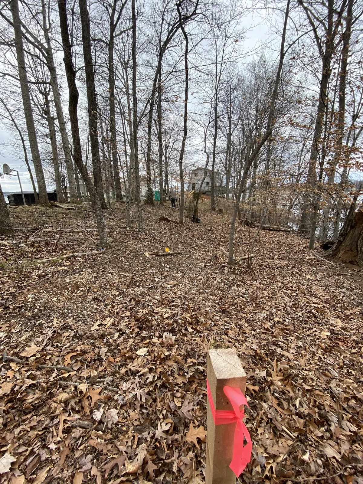 Wooden stake tied with pink flagging tape on a leaf-covered wooded lot, with houses beyond the trees